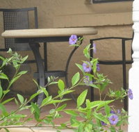 Amalie Cottage Waikerie - Hotel VIC