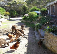 Anchorage Apartments - Hotel VIC