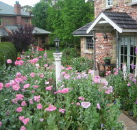 Annie's cottage - Hotel VIC