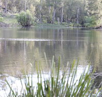 Arcadian Cabin - Southern Highlands River Retreat - Hotel VIC