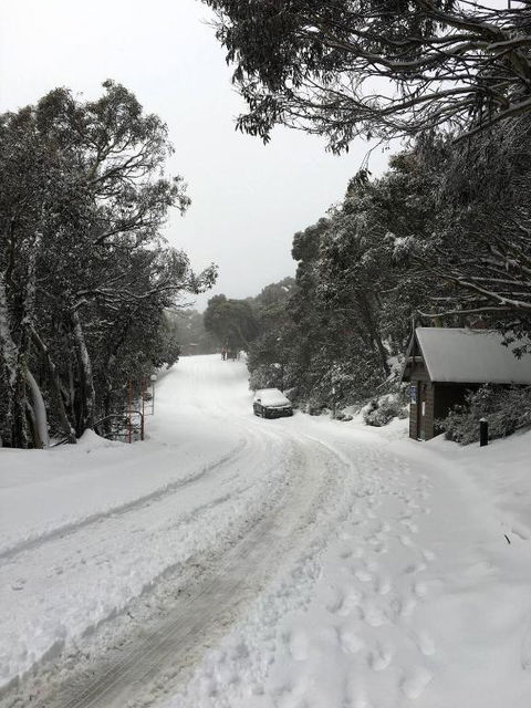MAGNIFICENT SKIING ON MOUNT BULLER - Hotel VIC 3