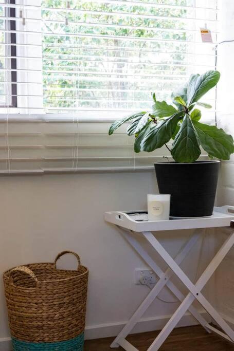 Maldon Cosy Garden Cottage - Charming One Room Studio - Hotel VIC 3