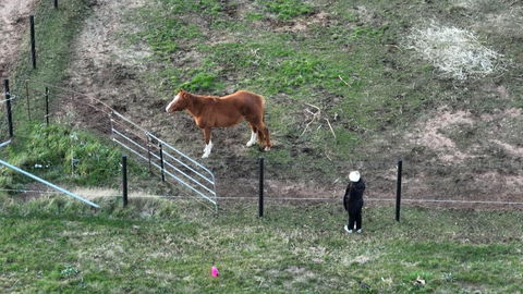 Myrtle At Lexington Park - Hotel VIC 1