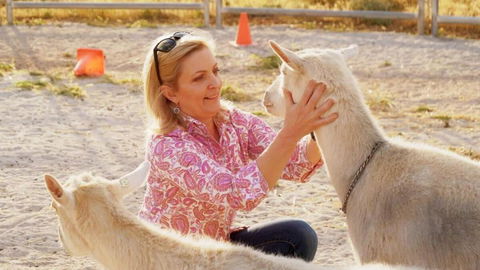 Olive Grove Retreat 1 By Tiny Away - Hotel VIC 1