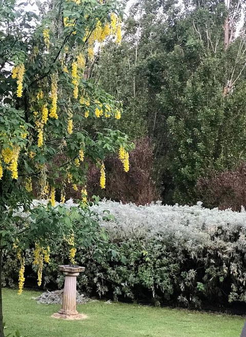 Pierrepoint Accommodation - Hotel VIC 1