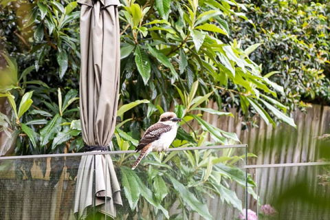 Quaint Queen Room - Central Location At Pymble - Shared Bathroom - Hotel VIC 1