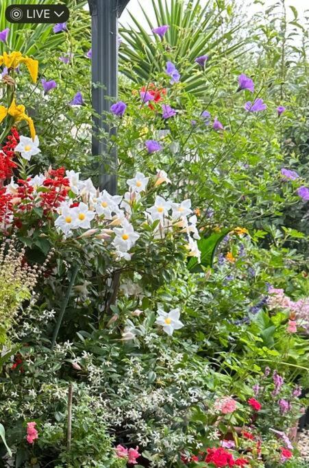 Quiet Comfort For Relaxing Stays - Hotel VIC 0