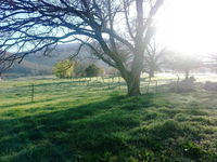 Book Mongans Bridge Accommodation Vacations Hotel VIC Hotel VIC