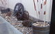 RJ\'s Bed & Breakfast - thumb 3