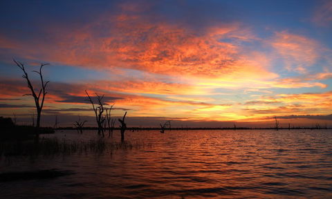BIG4 NRMA Yarrawonga Mulwala Holiday Park - Hotel VIC 0