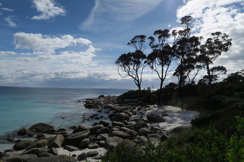 Binalong Bay Beach Shack - Hotel VIC 0