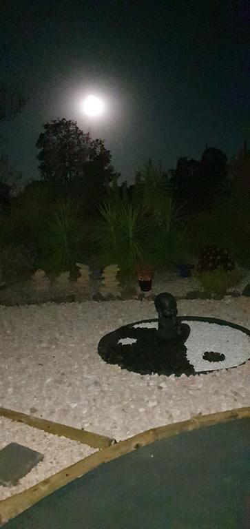 Birdhouse Cottage B&B - Hotel VIC 1