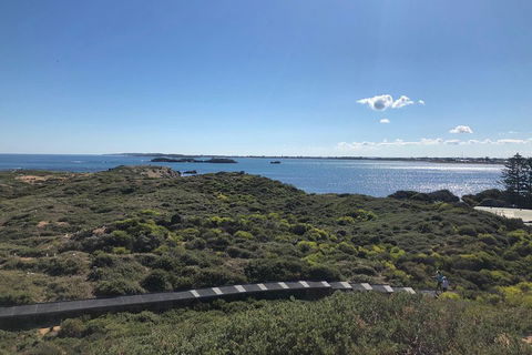 Penguin Island And Fremantle - Canoe, Chocolate & Coffee - Hotel VIC 0