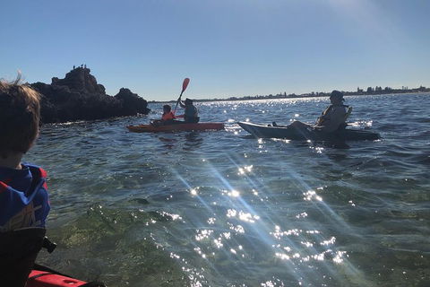 Penguin Island And Fremantle - Canoe, Chocolate & Coffee - Hotel VIC 1