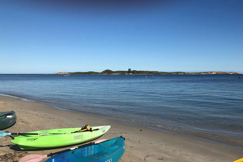 Penguin Island And Fremantle - Canoe, Chocolate & Coffee - Hotel VIC 2