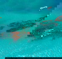 Private Tangalooma Wrecks Tour - Hotel VIC