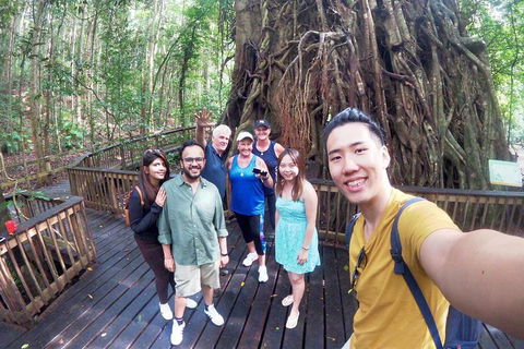 Cairns 4WD Waterfall And Rainforest Tour Including Kuranda Scenic Railway - Hotel VIC 0