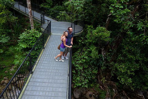 Cape Tribulation, Mossman Gorge, And Daintree Rainforest Premium Day Tour - Hotel VIC 3