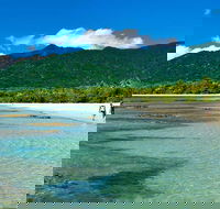 Private Daintree National Park Day Tour from Cairns Including Cape Tribulation and Mossman Gorge - Hotel VIC
