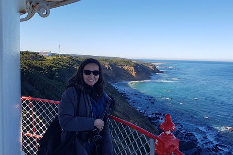 Great Ocean Road Full Day Private Experience - Hotel VIC 1