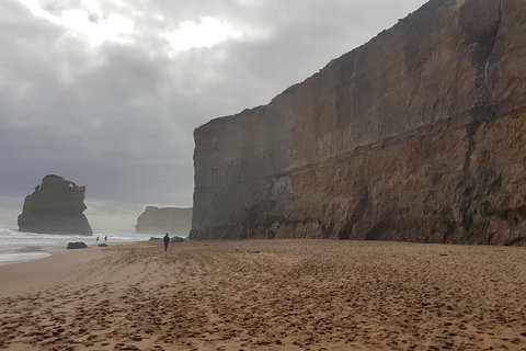 Private Express Experience - 12 Apostles - Hotel VIC 4