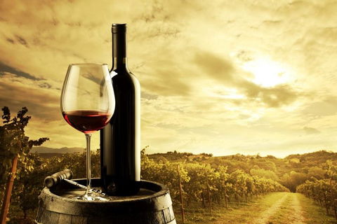 McLaren Vale Luxury Wine Tour - Hotel VIC 0