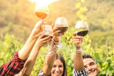 McLaren Vale Luxury Wine Tour - Hotel VIC 2