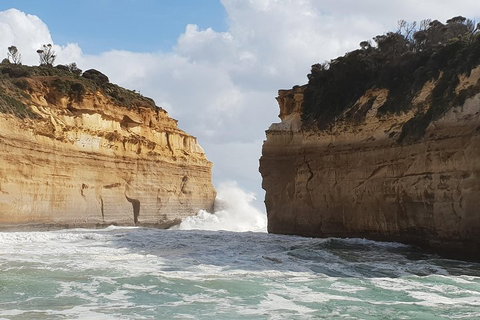 12 Apostles Tour From Warrnambool - Hotel VIC 2