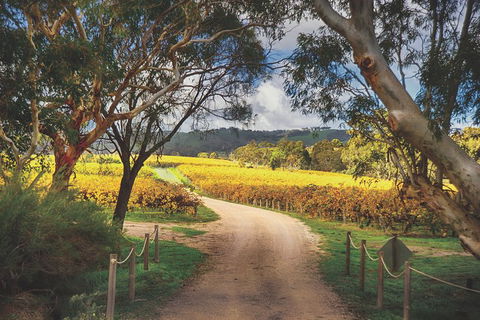 McLaren Vale Winery Small Group Tour With Wine Tasting And Lunch - Hotel VIC 1