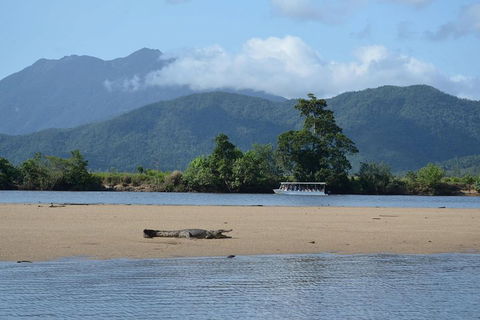 Afternoon Half-Day Daintree Rainforest And River Tour - Hotel VIC 2