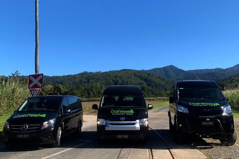 Afternoon Half-Day Daintree Rainforest And River Tour - Hotel VIC 4