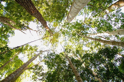 Fraser Island 4WD Tour From Noosa - Hotel VIC 0