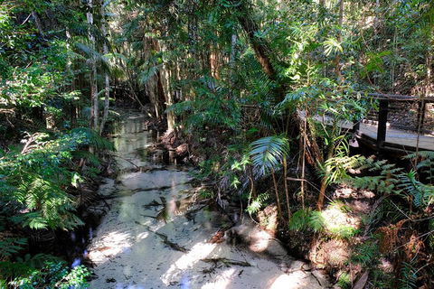 Fraser Island 4WD Tour From Rainbow Beach - Hotel VIC 0