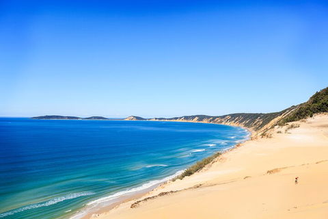 Kayak With Dolphins And 4WD Great Beach Drive Day Trip From Noosa - Hotel VIC 0