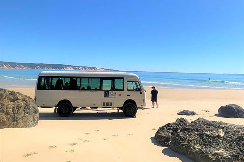 Kayak With Dolphins And 4WD Great Beach Drive Day Trip From Noosa - Hotel VIC 4