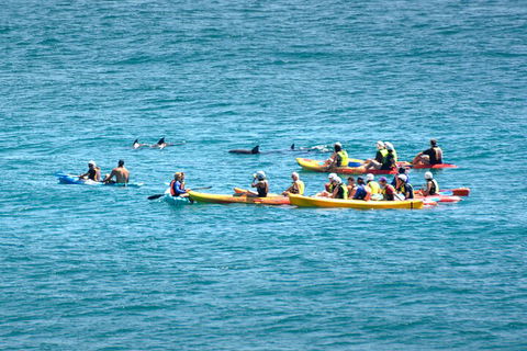 The Byron Bay Sea Kayak Tour - Hotel VIC 1