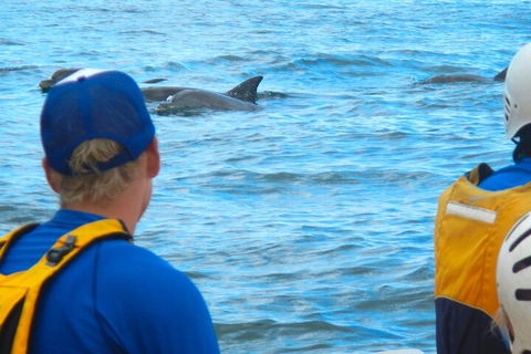 The Byron Bay Sea Kayak Tour - Hotel VIC 4