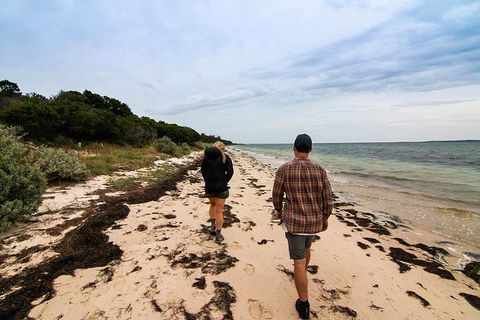 Phillip Island And French Island Wildlife Expedition - Hotel VIC 1