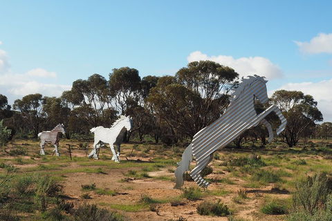 Wave Rock, Wild Flowers And Astro Photography - Hotel VIC 5