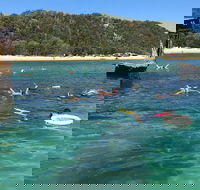 All Inclusive Dolphin and Tangalooma Wrecks Cruise - Hotel VIC