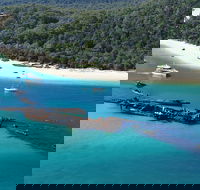 All Inclusive Tangalooma Wrecks Cruise Tour From Gold Coast - Hotel VIC