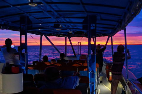Darwin Sunset Cruise Including Fish 'n' Chips - Hotel VIC 1