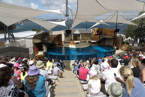 Sydney Taronga Zoo General Entry Ticket - Hotel VIC 5