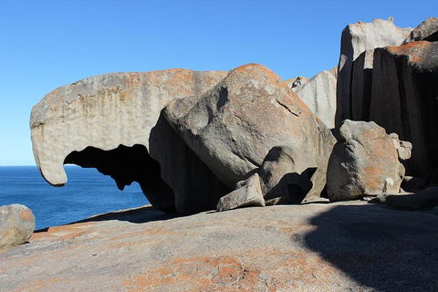 Kangaroo Island Personal Group Tours - Hotel VIC 2