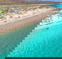 Ningaloo in a Day - Full Day Hike and Snorkel Tour with Lunch - Hotel VIC