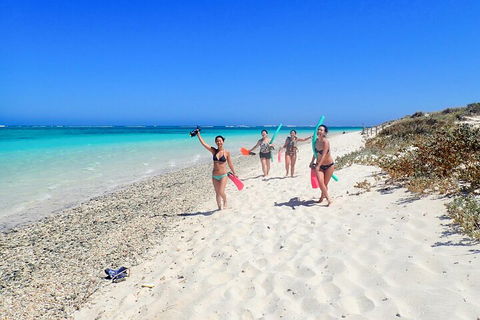 Ningaloo In A Day - Full Day Hike And Snorkel Tour With Lunch - Hotel VIC 1