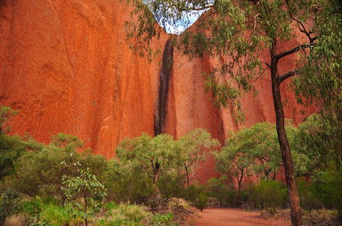 Uluru Sunrise And Guided Base Walk - Hotel VIC 3