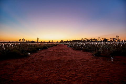 Uluru (Ayers Rock) Field Of Light Sunrise Tour - Hotel VIC 3