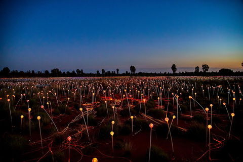 Uluru (Ayers Rock) Field Of Light Sunrise Tour - Hotel VIC 4