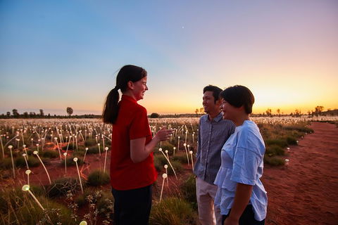 Uluru (Ayers Rock) Field Of Light Sunrise Tour - Hotel VIC 5